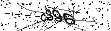 Vertification Code